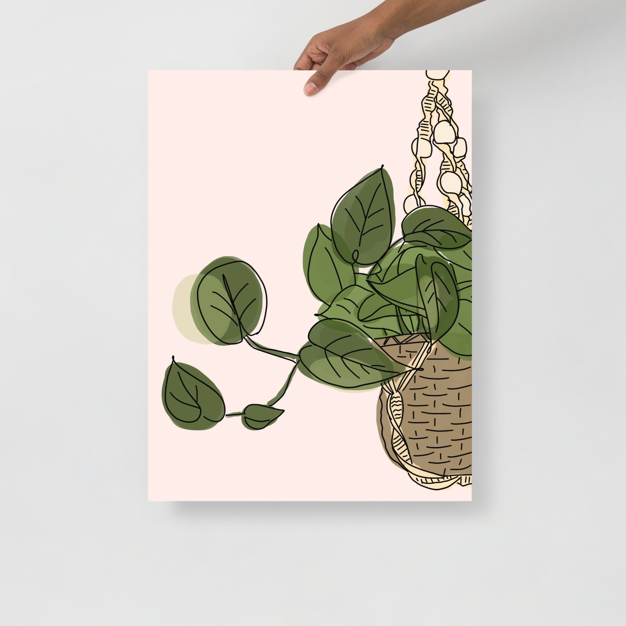 Plant Basket