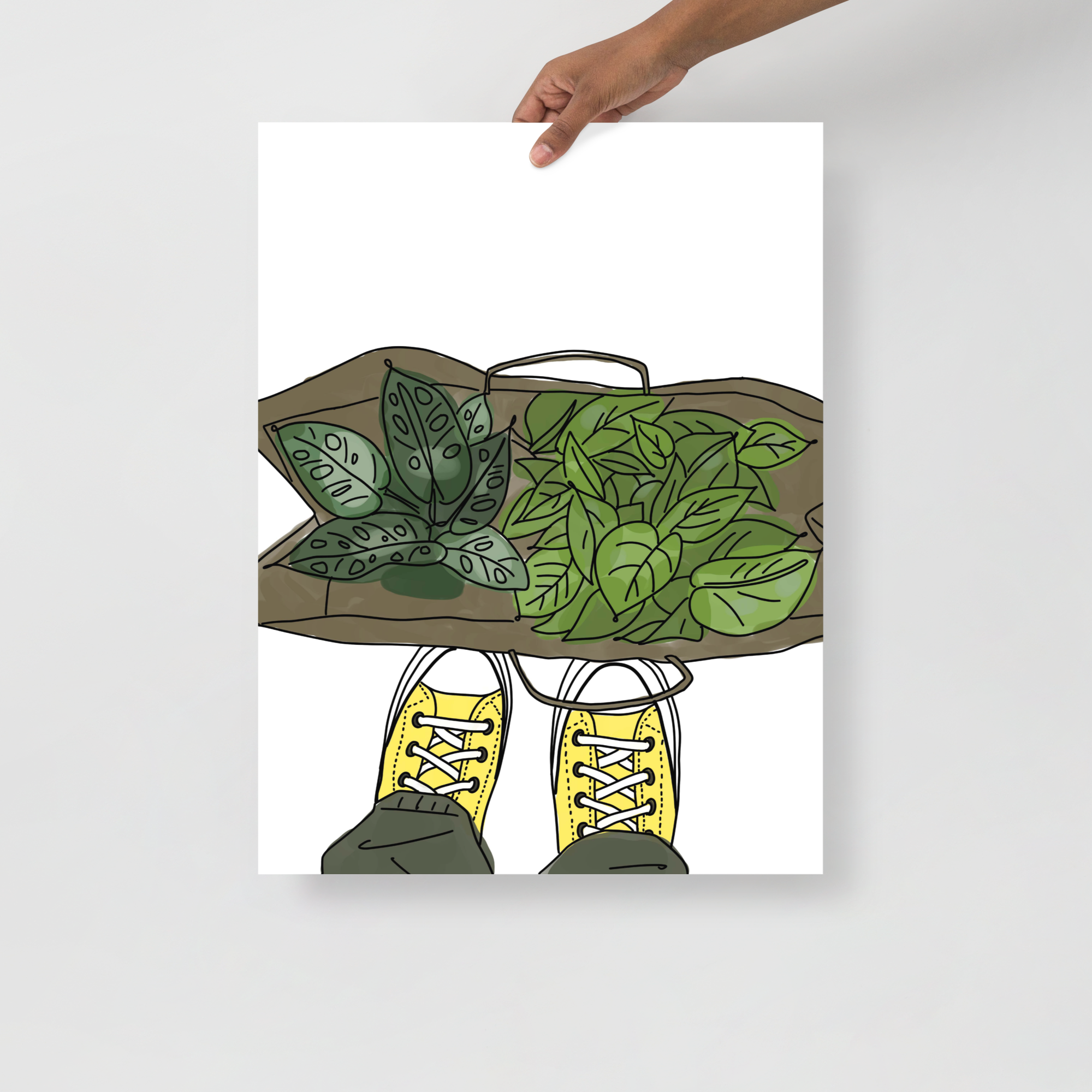 Plant & Converse